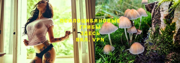 хмурый Алексеевка