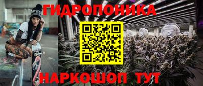 индика Владивосток