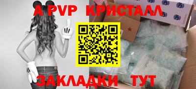 дмт Владимир
