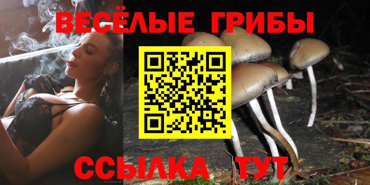 Бердск  Псилоцибиновые грибы ЛСД  Вход с VPN 