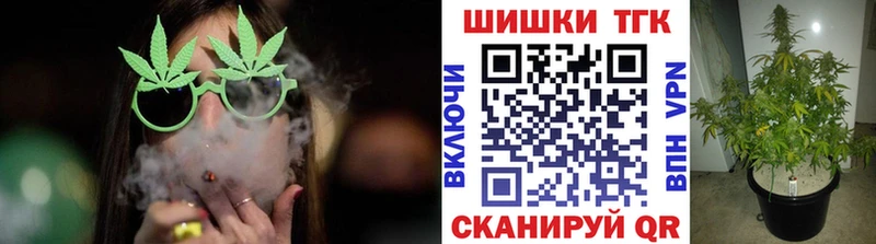 Конопля SATIVA & INDICA  Бердск 