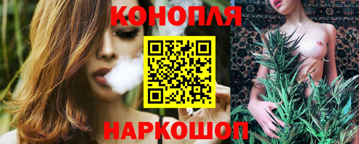 Конопля конопля  Вход с VPN  Бошки марихуана OG Kush  Бердск  Марихуана гибрид 